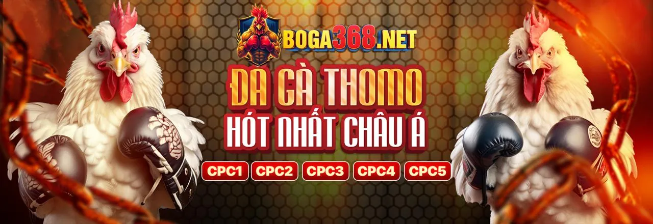 Đá gà trực tuyến loto288 2026